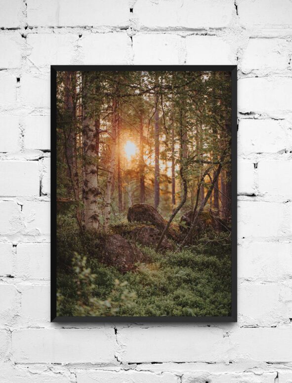 Poster Skogen