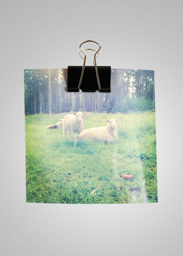 Posterklämma 32 mm Svart 4-pack