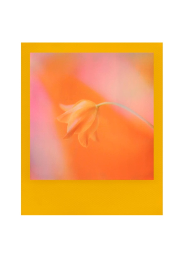 Polaroid Color film for I-Type Color Frame